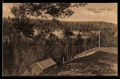 AK Tjustvy, Utsikt över Falerum