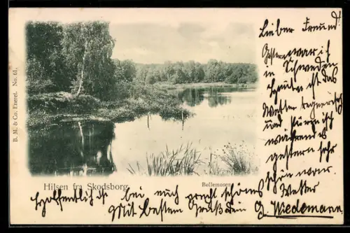 AK Skodsborg, Bollemosen