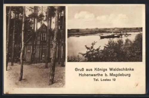 AK Hohenwarthe, Königs Waldschänke, Dampfer auf dem Fluss