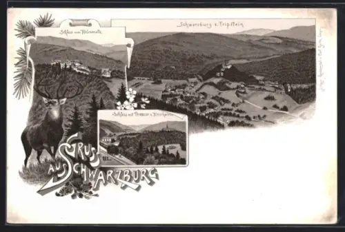 Lithographie Schwarzburg, Teilansicht vom Tripstein, Schloss vom Helenensitz, Schloss mit Terrasse und Hirschwiese