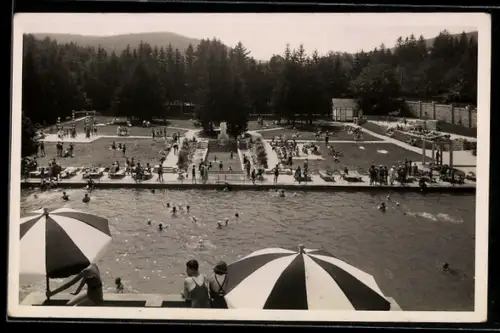 AK Sopron, Löverfürdö