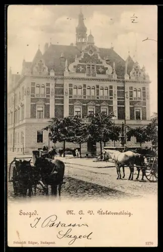 AK Szeged, M. A. V. Üzletvezetöség