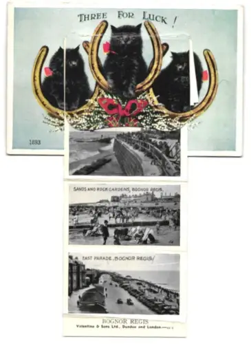 Leporello-AK Bognor Regis, Beach and Promenade, Pavillon Gardens, West Beach, East Parade, Waterloo Square