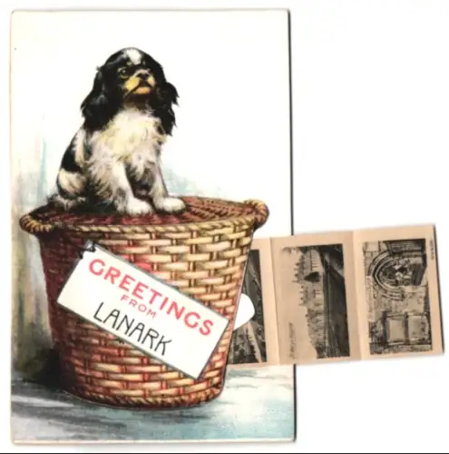 Leporello-AK Lanark, Lake Pavillon, Roman Bridge, Lockhart Hospital, Convalescent Home, Kirkfieldbank