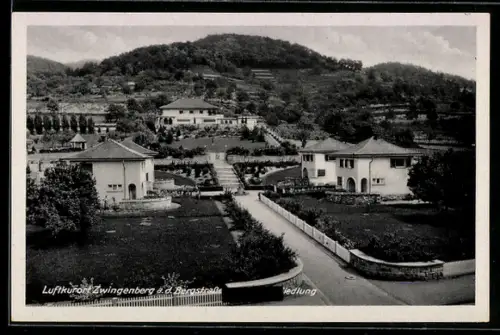 AK Zwingenberg, Siedlung