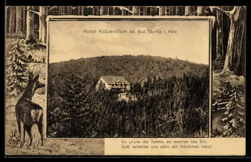 AK Bad Sachsa i. Harz, Hotel Katzenstein, Rehbock im Wald im Winter, Passepartout