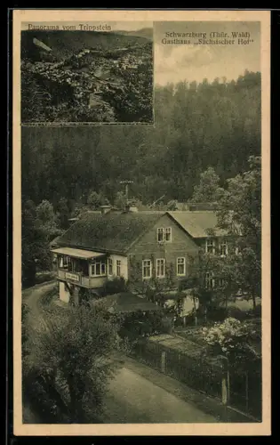 AK Schwarzburg / Thür. Wald, Gasthaus Sächsischer Hof, Panorama vom Trippstein