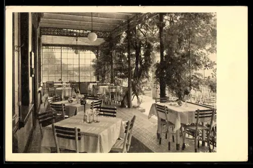 AK Rüdesheim a. Rh., Hotel Jung, Rhein-Terrasse, Teilansicht