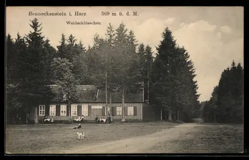 AK Benneckenstein i. Harz, Gasthaus Waldschlösschen