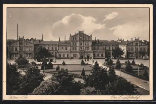 AK Zittau i. Sa., Hauptbahnhof mit Parkanlage
