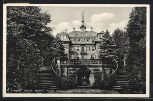 AK Frankfurt a. M.-Höchst, Neues Rathaus, ehemal. Bolongaro-Palast