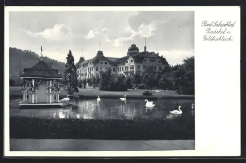 AK Bad Salzuflen, Badehof u. Goldfischteich mit Schwänen