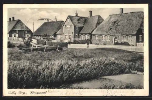 AK Hallig Hooge, Königspesel, Strassenpartie