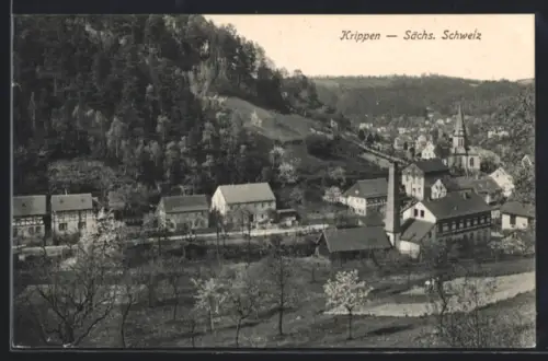 AK Krippen /Sächs. Schweiz, Ortsansicht mit Kirche und umliegender Landschaft