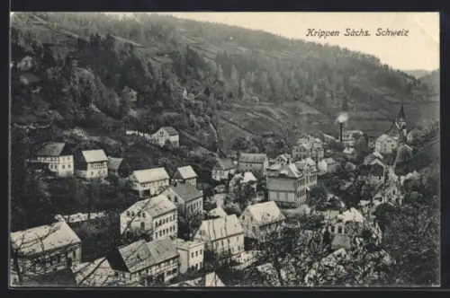 AK Krippen /Sächs. Schweiz, Totalansicht aus der Vogelschau