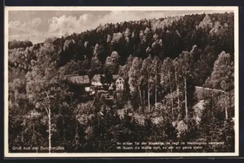 AK Stolpen /Sa., Gaststätte Einkehrhaus Buschmühle W. Rutzen, Waldlandschaft