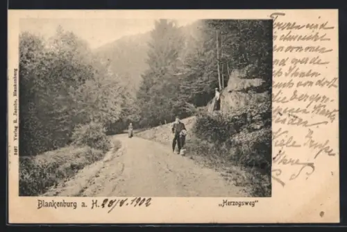 AK Blankenburg a. H., Partie am Herzogsweg