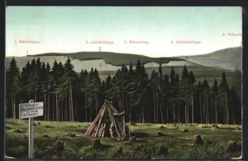 AK Drei Annen Hohne, Waldpartie mit Rodungsfläche u. Hütte, Panorama Bärenklippe, Leistenklippe, Bärenstieg