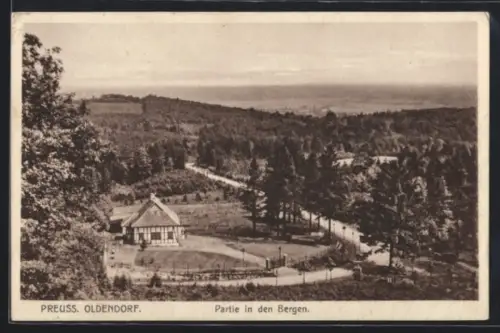 AK Preuss. Oldendorf, Partie in den Bergen