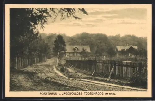 AK Todtenrode im Harz, Forsthaus und Jagdschloss