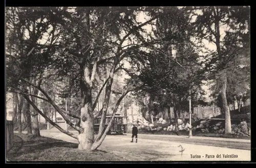 AK Torino, Parco del Valentino, Panorama, Strassenbahn