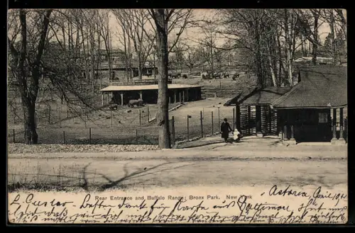 AK New York, NY, Rear Entrance and Buffalo Range in Bronx Park