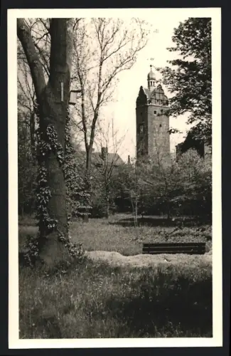 Fotografie unbekannter Fotograf, Ansicht Zörbig, Blick auf einen historischen Turm im Park