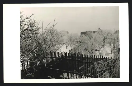 Fotografie unbekannter Fotograf, Ansicht Zörbig, Winterliche Gartenlandschaft mit Bäumen 1963