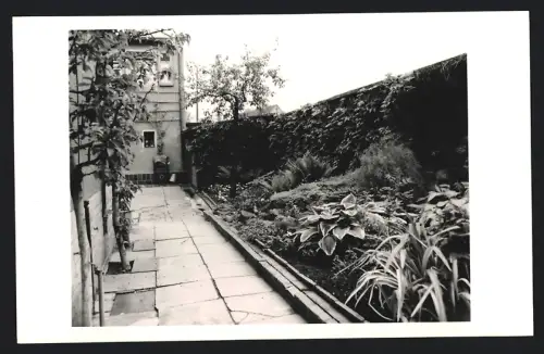 Fotografie unbekannter Fotograf, Ansicht Zörbig, Malerischer Gartenpfad 1963