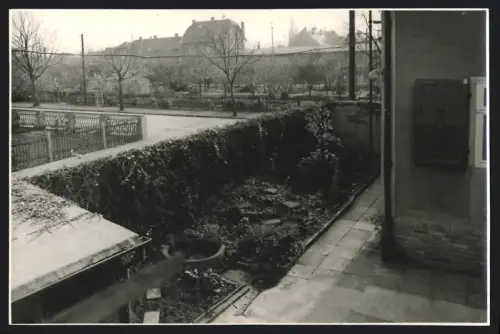 Fotografie unbekannter Fotograf, Ansicht Zörbig, Blick in einen Garten 1967