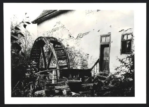 Fotografie unbekannter Fotograf, Ansicht Zörbig, Historisches Wasserrad einer Mühle