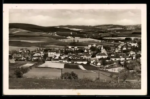 AK Sedlcany, Celkový pohled