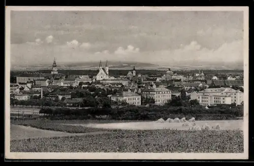 AK Kremsier, Gesamtansicht