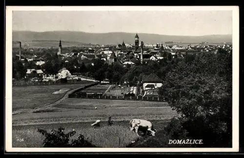 AK Domazlice, Celkovy Pohled