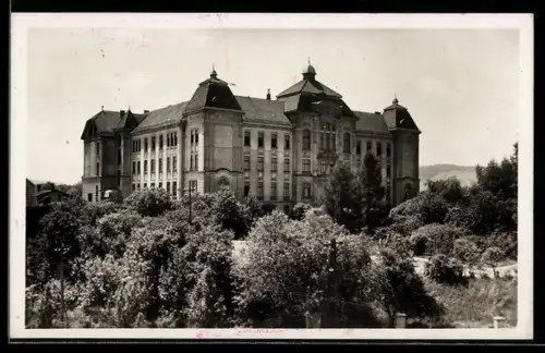 AK Val. Mezirící, Ústav hluchonemých