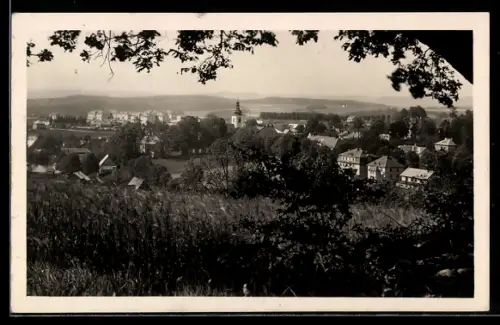 AK Rokitnitz im Adlergeb., Ortsansicht aus der Vogelschau