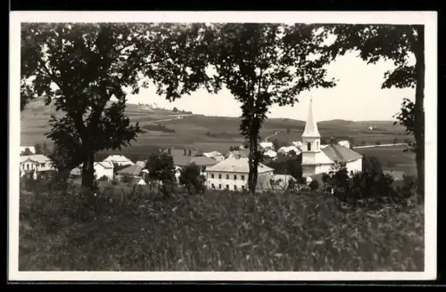 AK Stachy /Král. Hvozd, Panorama