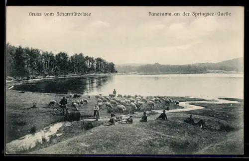 AK Storkow, Scharmützelsee, Panorama an der Springsee-Quelle
