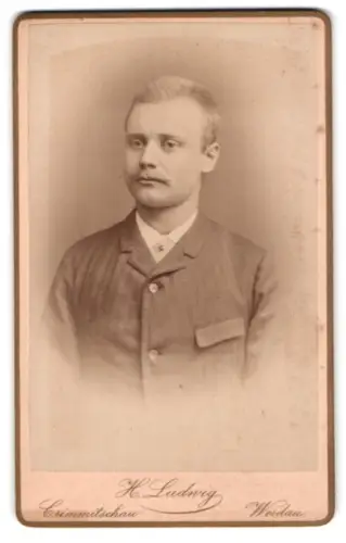 Fotografie H. Ludwig, Crimmitschau, Thiemestrasse 73, Porträt eines eleganten Mannes