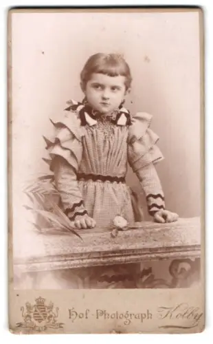 Fotografie Kolby, Zwickau, Plauensche Strasse 17, Mädchen mit Schleifen und Blume