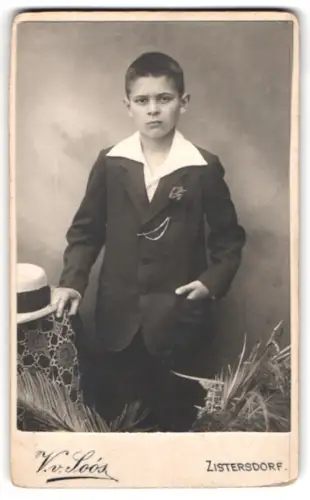 Fotografie Victor v. Soós, Zistersdorf, elegant gekleideter Junge