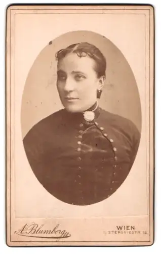 Fotografie A. Blumberg, Wien, Stefaniestrasse 12, Porträt einer Dame in elegantem Gewand