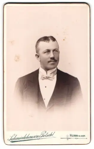 Fotografie Schmiedehauer & Petschl, Horn /N.Ö., Hauptplatz, Portrait eines eleganten Herrn