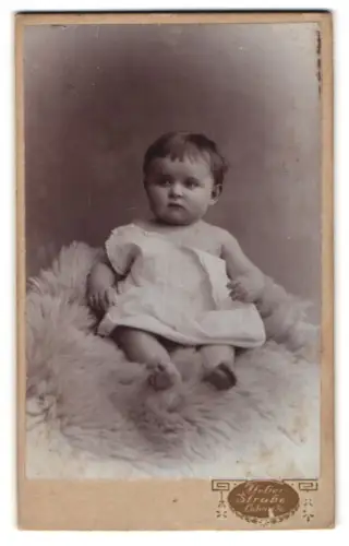 Fotografie Alex Strube, Löbau, Kleine Kinderszene auf weichem Fell