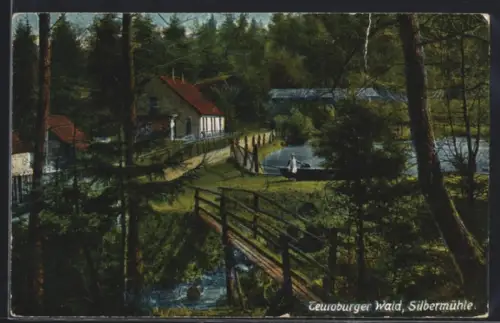 AK Silbermühle /Teutoburger Wald, Gasthaus Silbermühle mit Brücke u. Teich