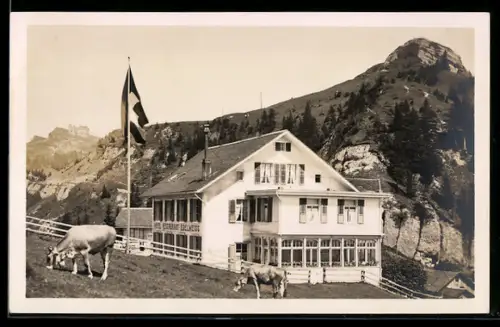 AK Rigi, Rigi-Staffelhöhe, Hotel und Restaurant Edelweiss