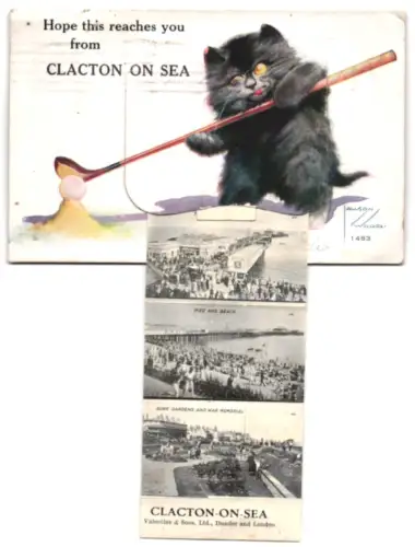 Leporello-Künstler-AK Lawson Wood: Clacton-on-Sea, Sunk Gardens, Promenade East, Beach West, West Cliff, The Pier