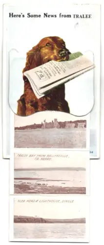 Leporello-AK Tralee, The Mall, Deny Street, Dingle Bay, Tralee Bay, Slea Head, St. John`s Church