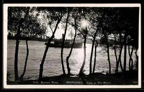 AK Patagones /Buenos Aires, Vista al Rio Negro