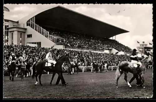 AK Oostende, Hipodrom Wellington